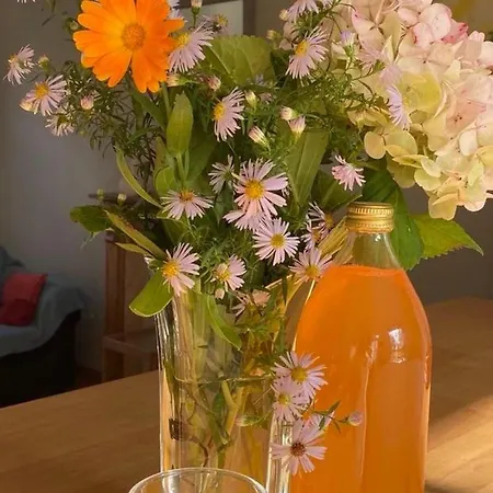 別荘 Champetre Avec Jardin Prive, Proche De La Nature - Fr-1-510-231 Rumegies