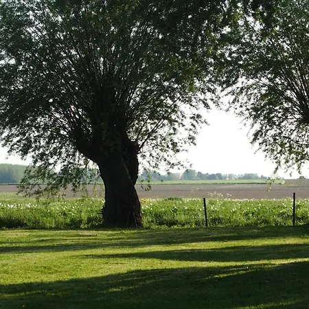 Independant Avec Jardin Et Proche Belgique - Fr-1-510-231 Holiday home *