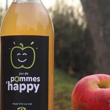 Indépendant Avec Jardin Et Proche Belgique - Fr-1-510-231 * Rumegies